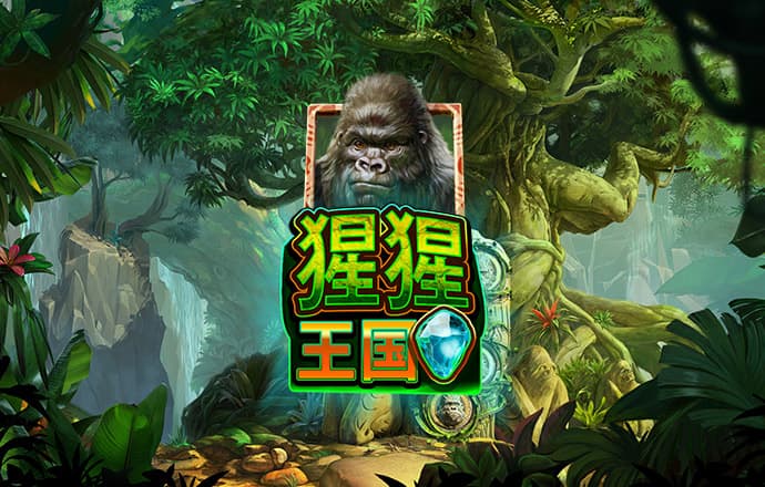 9uu有你有我知矣mba
